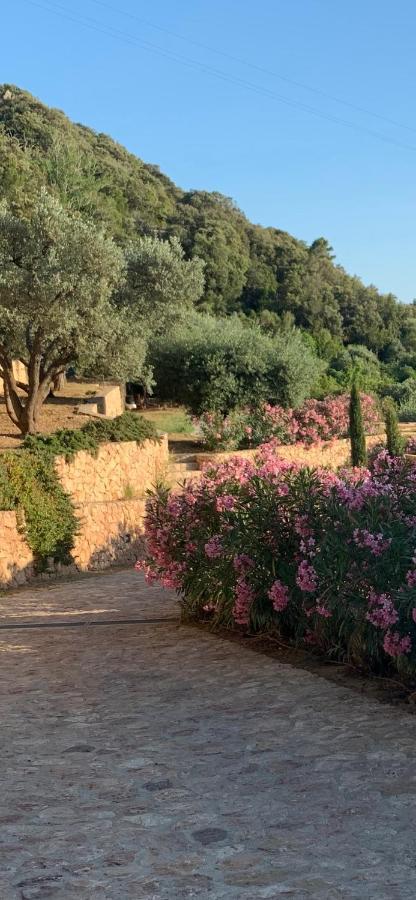 Stella D'Argento Panzió Porto Santo Stefano  Kültér fotó